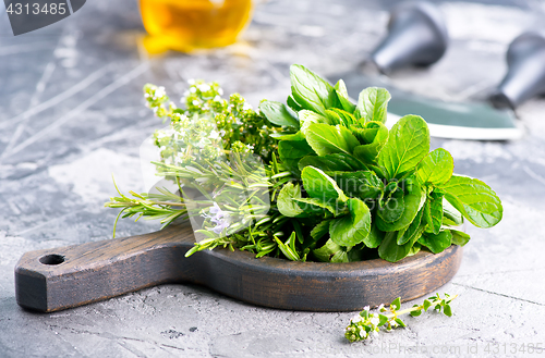 Image of fresh herb