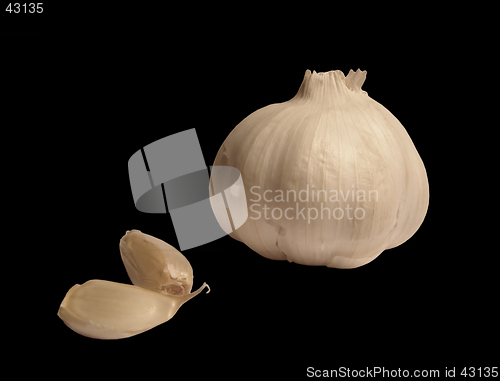 Image of Garlic