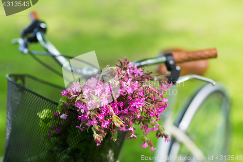 Image of close up of fixie bicycle with flowers in basket