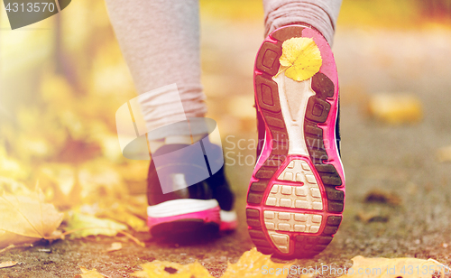 Image of close up of woman feet wearing sneakers in autumn