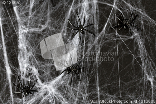 Image of halloween decoration of black toy spiders on web