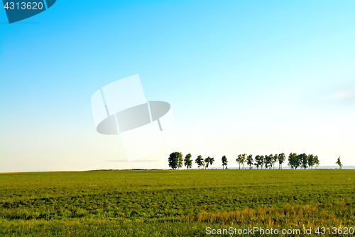 Image of Landscape with trees and sky