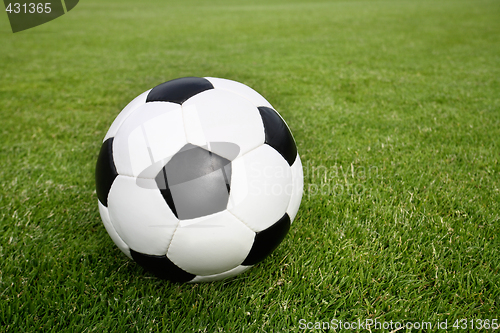 Image of soccer ball on grass