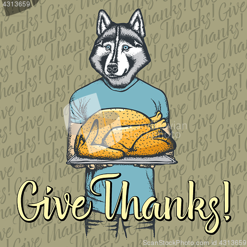 Image of Vector illustration of Thanksgiving husky dog concept