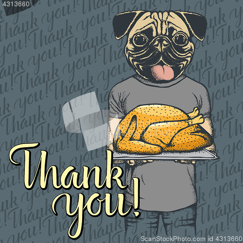 Image of Vector illustration of Thanksgiving pug dog concept