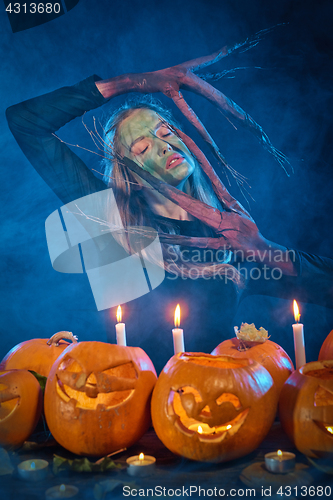 Image of Halloween costume woman, tree girl with pumpkins