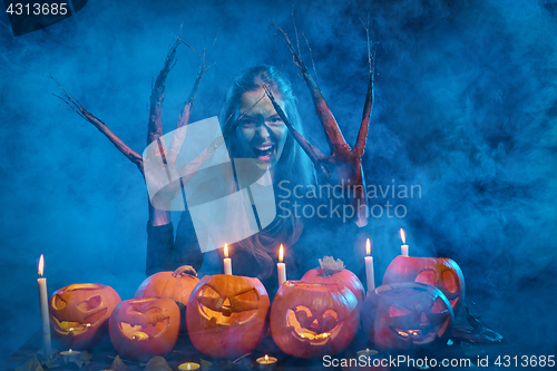 Image of Halloween costume woman, tree girl with pumpkins