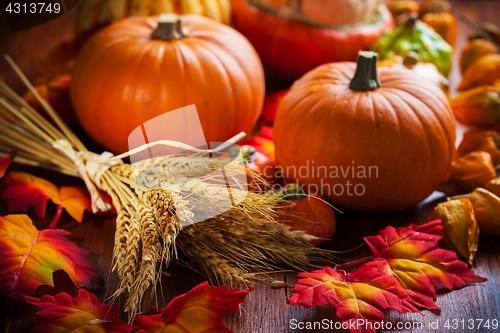 Image of Pumpkin still life for Thanksgiving 