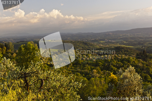 Image of Evening landscape. Tuscany, Italy