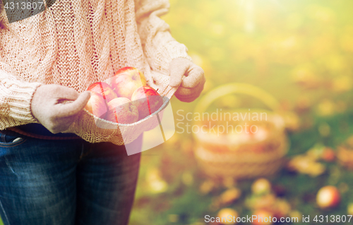 Image of close up of woman with apples in autumn