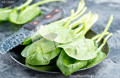 Image of fresh spinach