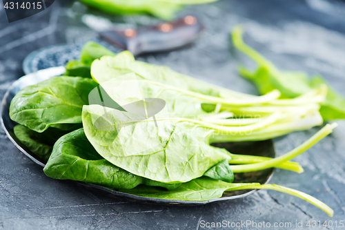 Image of fresh spinach