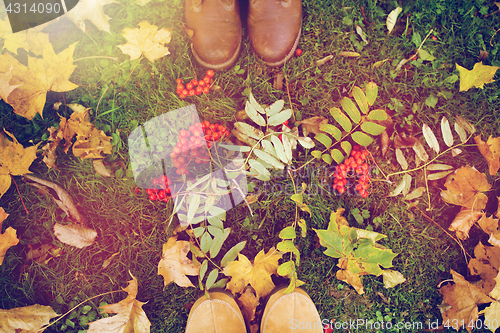 Image of feet in boots with rowanberries and autumn leaves