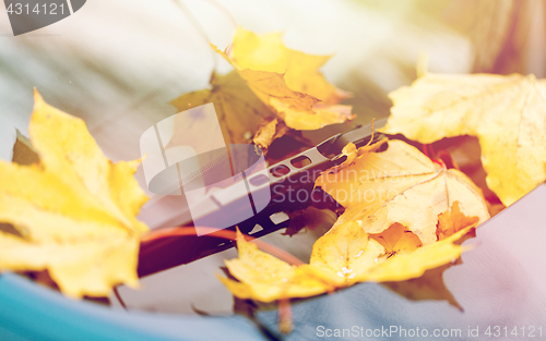 Image of close up of car wiper with autumn leaves