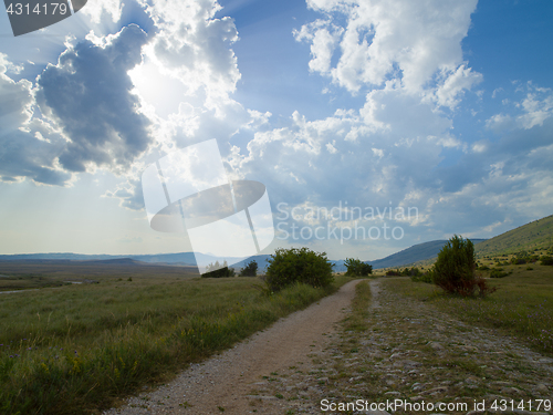 Image of summer landscape