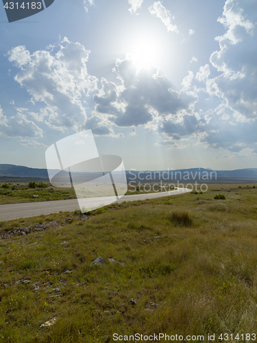 Image of summer landscape