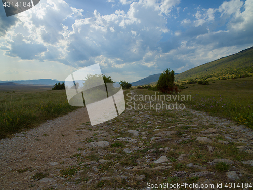 Image of summer landscape