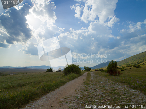 Image of summer landscape