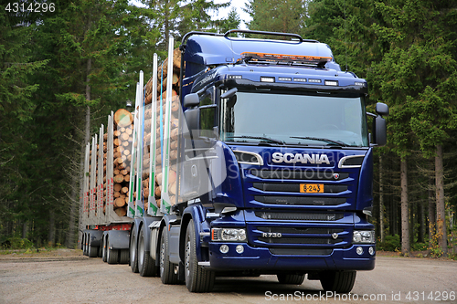 Image of Blue Scania R730 Logging Truck and Spruce Trees