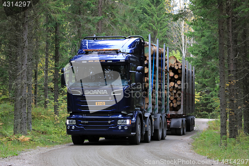 Image of Blue Scania R730 Logging Truck in Spruce Forest