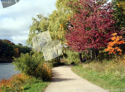 Image of Autumn Pathway