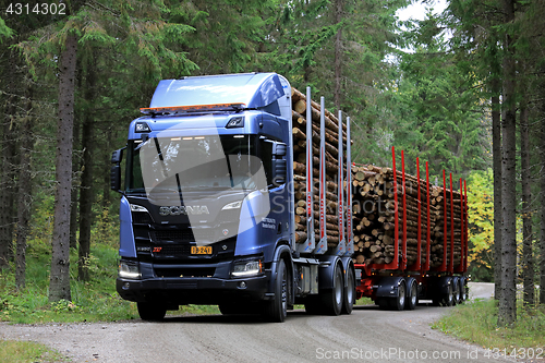 Image of Scania R650 XT Logging Truck in Spruce Forest