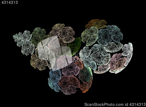 Image of Surreal fractal flowers