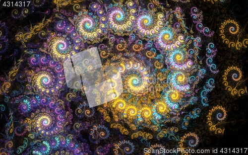 Image of Nautilus fractal beauty