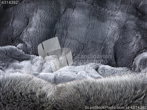 Image of Grey Fur