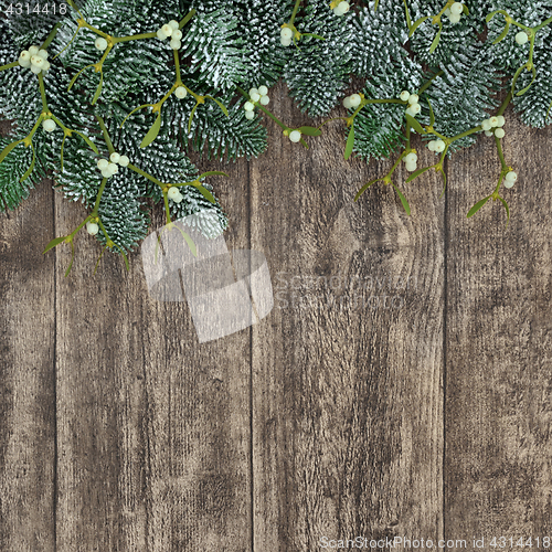 Image of Spruce Fir and Mistletoe Background  