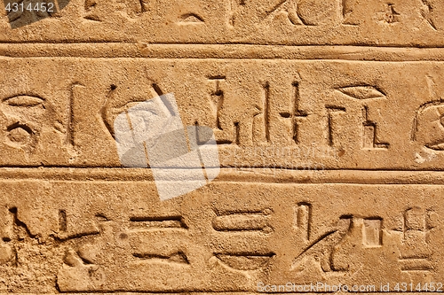 Image of Ancient Hieroglyphic Script