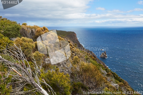 Image of Landscape in Tasmania