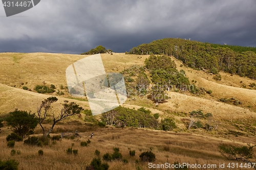 Image of Valley in Tasmania