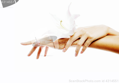 Image of beauty delicate hands with manicure holding flower lily close up