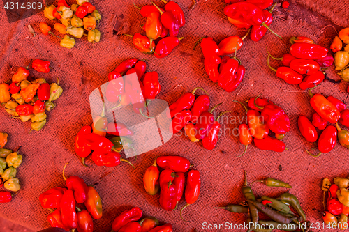 Image of Red paprika being sold at local food market.