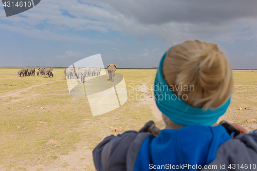 Image of Woman watching herd of elephants on african wildlife safari. Amboseli, Kenya.