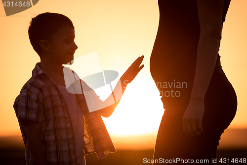 Image of Mother and son walking on the field at the sunset time.