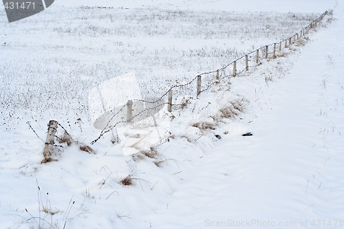 Image of winter boarding