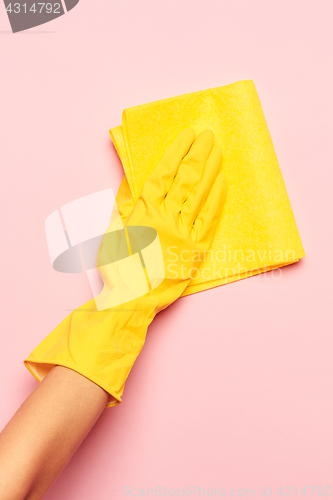 Image of The woman\'s hand cleaning on a pink background. Cleaning or housekeeping concept