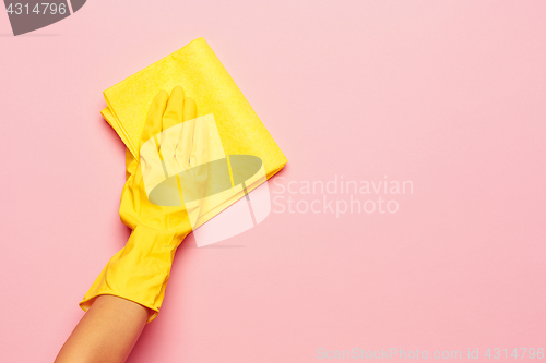 Image of The woman\'s hand cleaning on a pink background. Cleaning or housekeeping concept