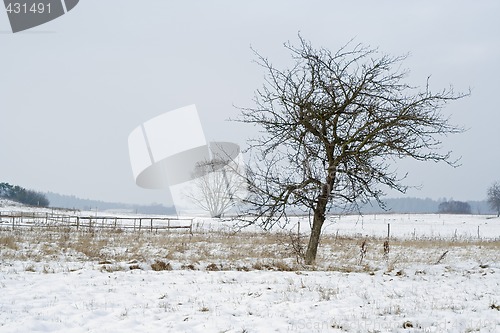 Image of winter landscape
