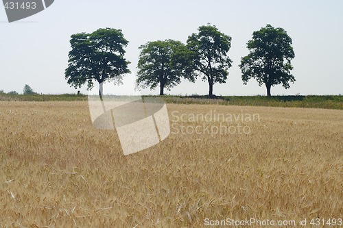 Image of landscape