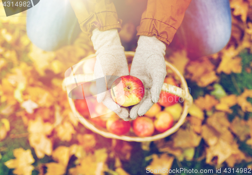 Image of woman with basket of apples at autumn garden