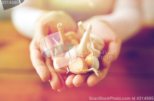 Image of woman hands holding garlic