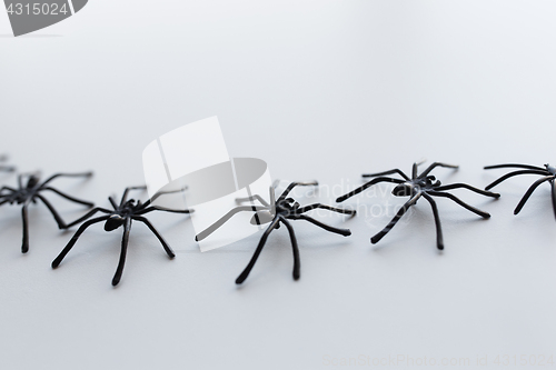 Image of black toy spiders chain on white background