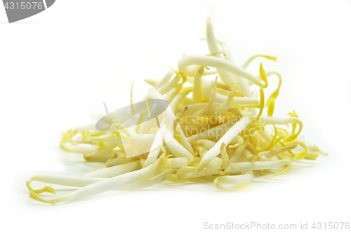 Image of Pile of bean sprouts