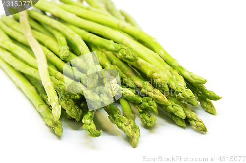 Image of Bundle of green asparagus shoots