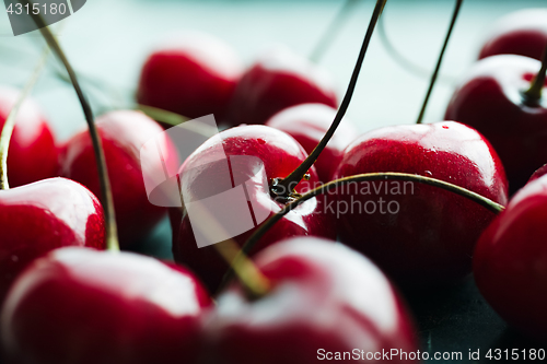 Image of Ripe cherries on green