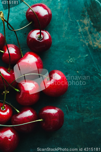 Image of Ripe cherries on green