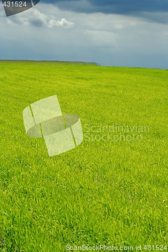 Image of plain green field